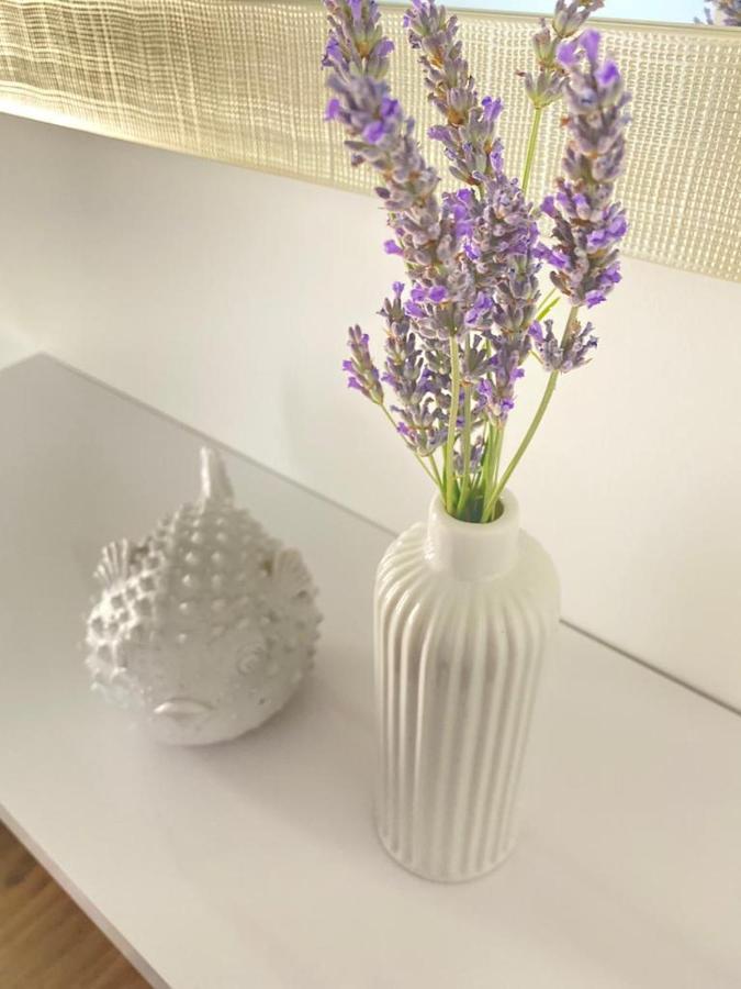 Villa Moon โตรกีร์ ภายนอก รูปภาพ
