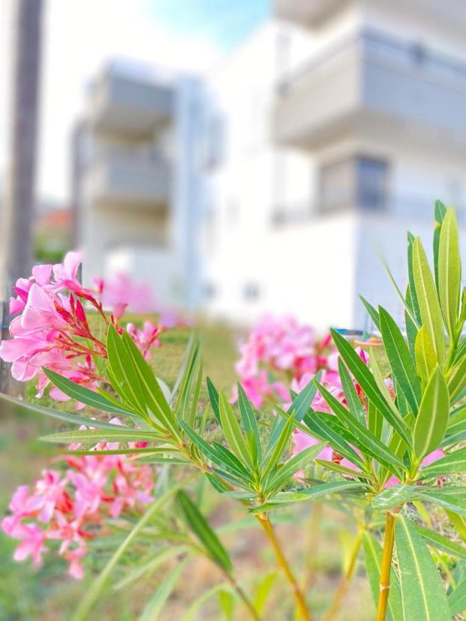 Villa Moon โตรกีร์ ภายนอก รูปภาพ